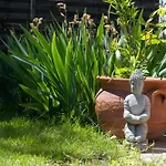 Aranyforrás Wellness